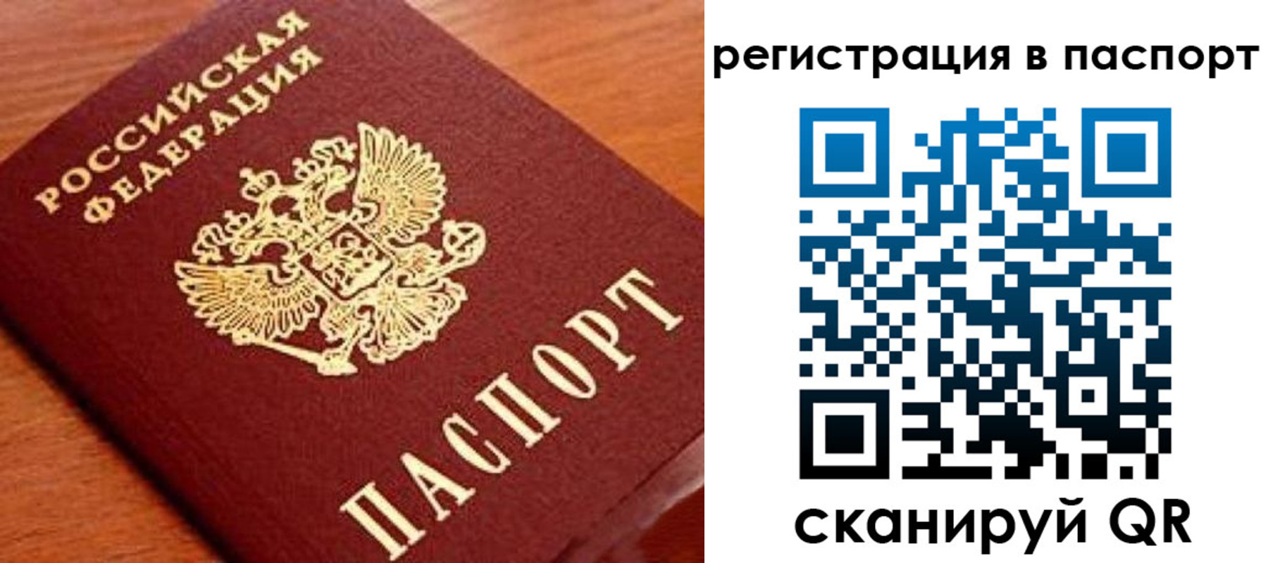 временная регистрация в Электрогорске